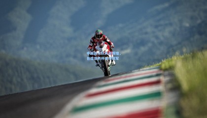 中国跳水队再创辉煌，包揽世界杯多项冠军